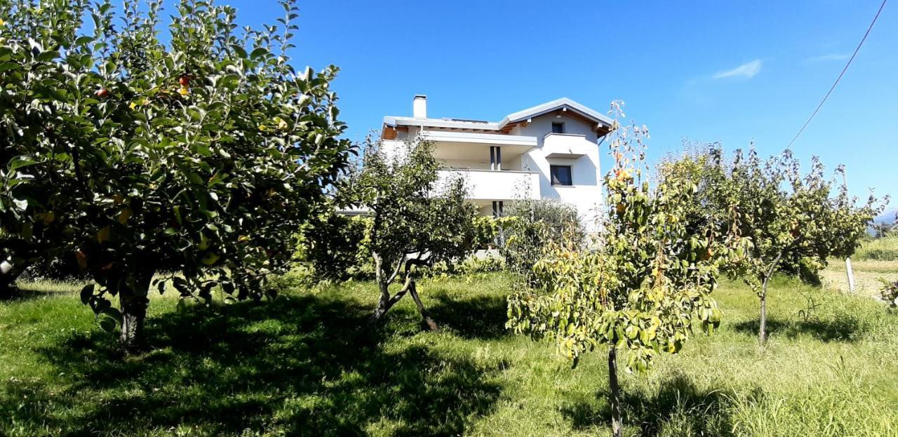 Treppo GrandeAl Settimo Miglio, Alloggio Agrituristico别墅 外观 照片