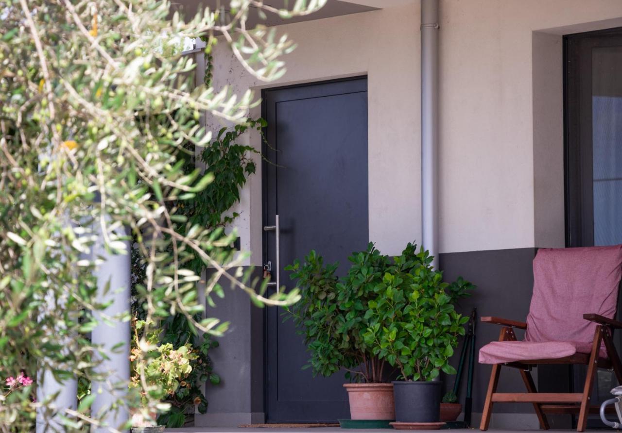 Treppo GrandeAl Settimo Miglio, Alloggio Agrituristico别墅 外观 照片